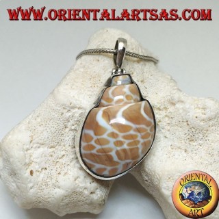 Pendentif en argent avec gastéropode marin fossile (coquille / coquille)