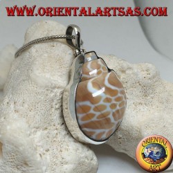 Silver pendant with fossil marine gastropod (shell / shell)