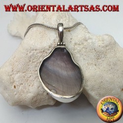 Colgante de plata con gasterópodo marino fósil (concha / concha)