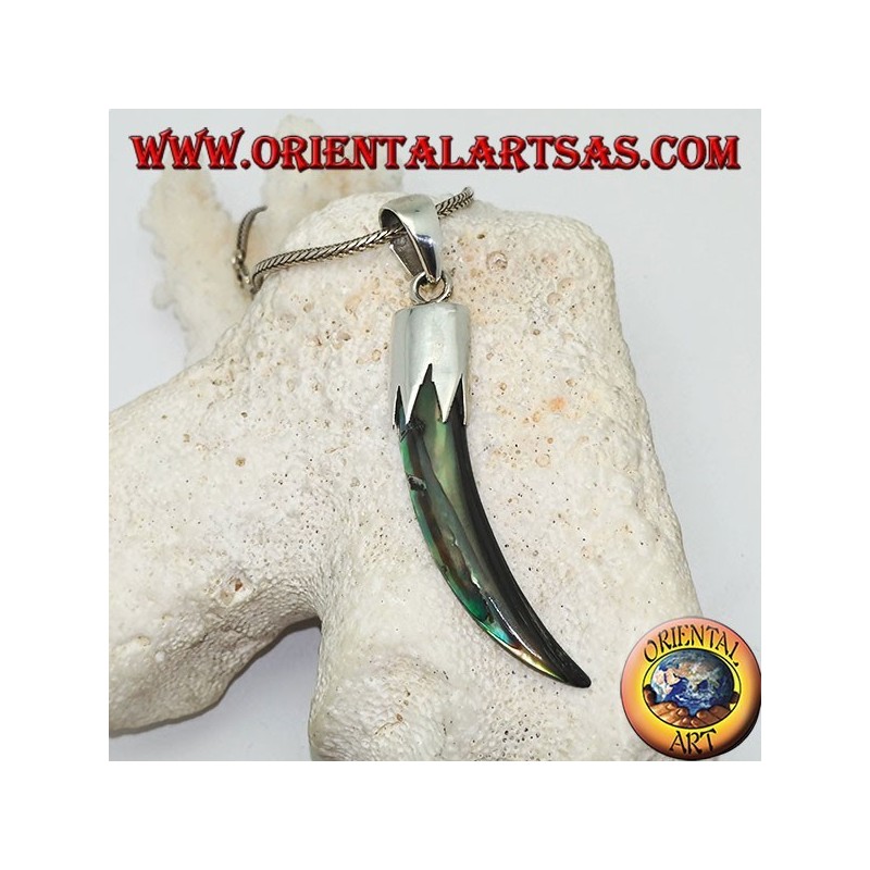 Colgante de plata con cuerno de abulón Paua con capucha