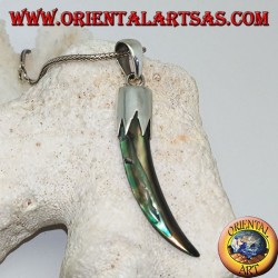 Silver pendant with Abalone Paua horn with hood