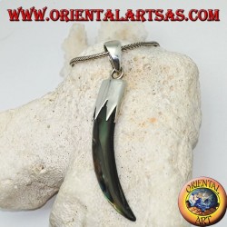 Colgante de plata con cuerno de abulón Paua con capucha
