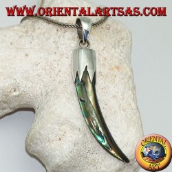 Silver pendant with Abalone Paua horn with hood