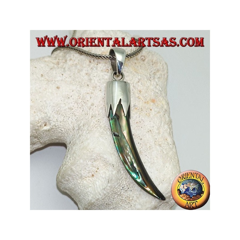 Colgante de plata con cuerno de abulón Paua con capucha