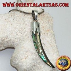 Colgante de plata con cuerno de abulón Paua con capucha