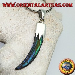 Silver pendant with Abalone Paua horn with hood