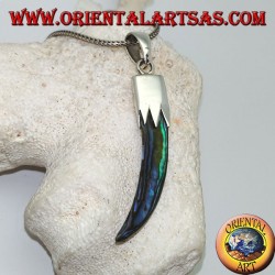 Silver pendant with Abalone Paua horn with hood
