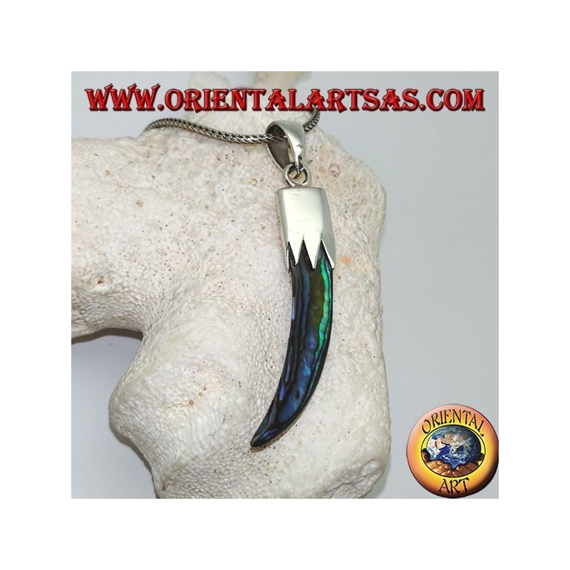 Colgante de plata con cuerno de abulón Paua con capucha