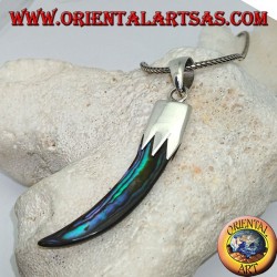 Silver pendant with Abalone Paua horn with hood