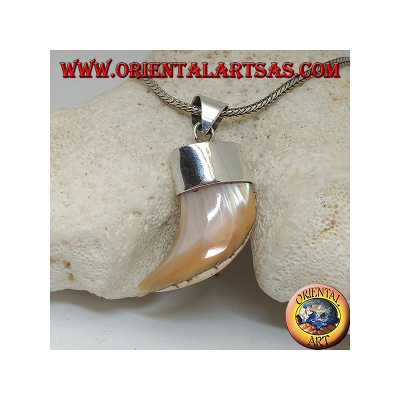 Large pendentif en argent nacre Calliostoma