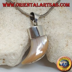Wide Calliostoma mother-of-pearl silver pendant