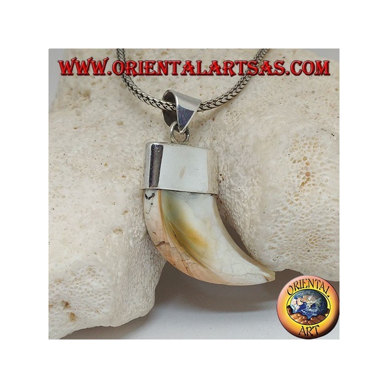 Large pendentif en argent nacre Calliostoma