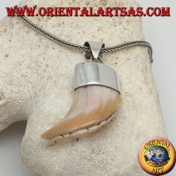 Large pendentif en argent nacre Calliostoma