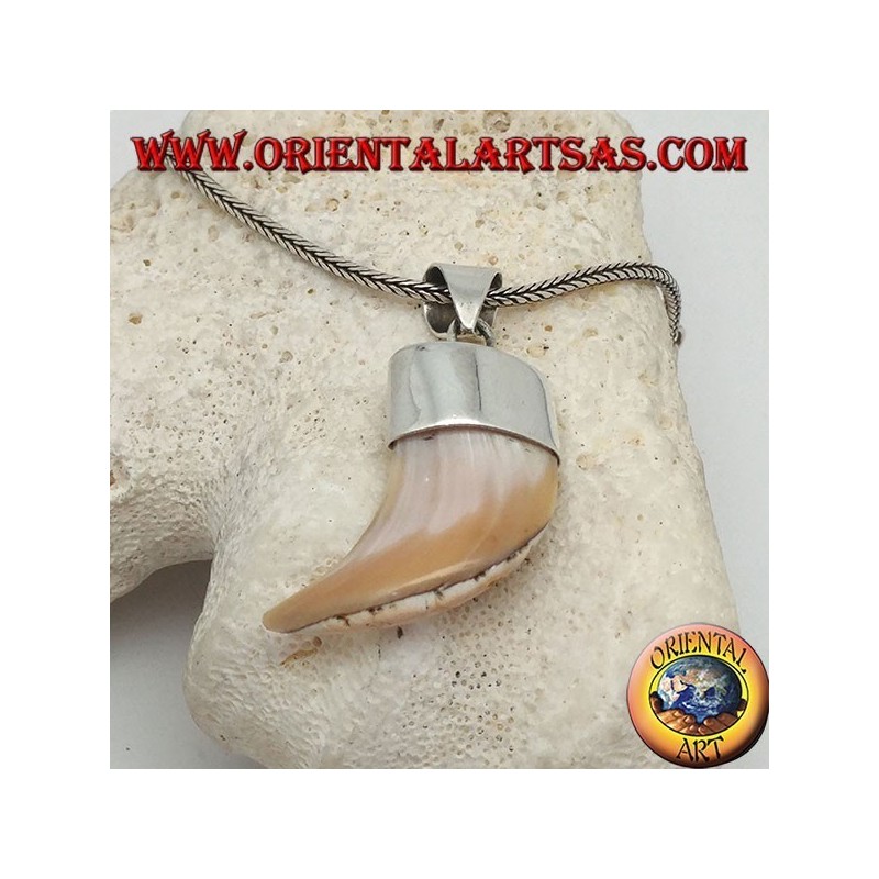 Large pendentif en argent nacre Calliostoma