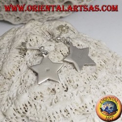 Silver earrings with lobe ball and smooth flat pendant star