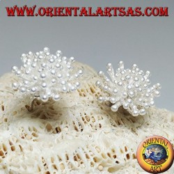 Boucles d'oreilles lobe en argent en forme d'anémone de mer avec finition satinée (grande)
