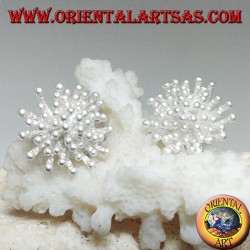 Pendientes de plata con lóbulos en forma de anémona de mar con acabado satinado (grande)