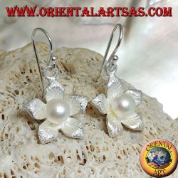 Silver earrings with leaf in the shape of a pendant satin star and white water pearl