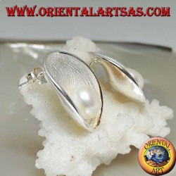Silver lobe earrings with satin mother shell inside and white freshwater pearl