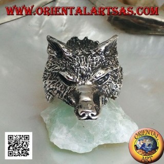 Anillo de plata, cabeza de lobo ártico o lobo de nieve masivo (grande)