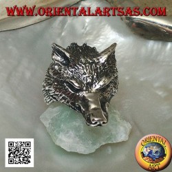 Silver ring, Arctic wolf head or massive snow wolf (large)