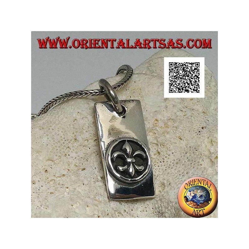 Colgante de plata, placa rectangular gruesa con lirio, figura heráldica, en alto relieve en círculo