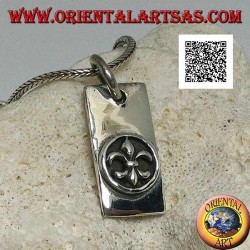 Colgante de plata, placa rectangular gruesa con lirio, figura heráldica, en alto relieve en círculo