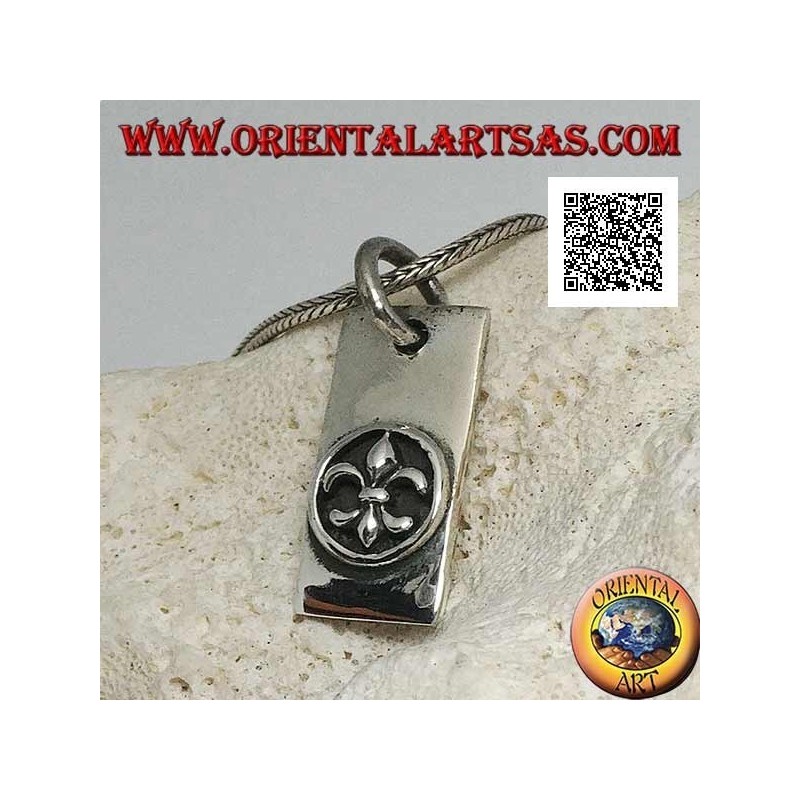 Colgante de plata, placa rectangular gruesa con lirio, figura heráldica, en alto relieve en círculo