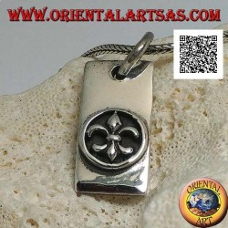 Colgante de plata, placa rectangular gruesa con lirio, figura heráldica, en alto relieve en círculo