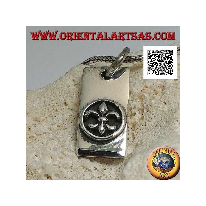 Pendentif en argent, plaque rectangulaire épaisse avec lys, figure héraldique, en haut relief dans un cercle