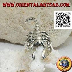 Anillo de plata con escorpión en posición ofensiva suave (grande)
