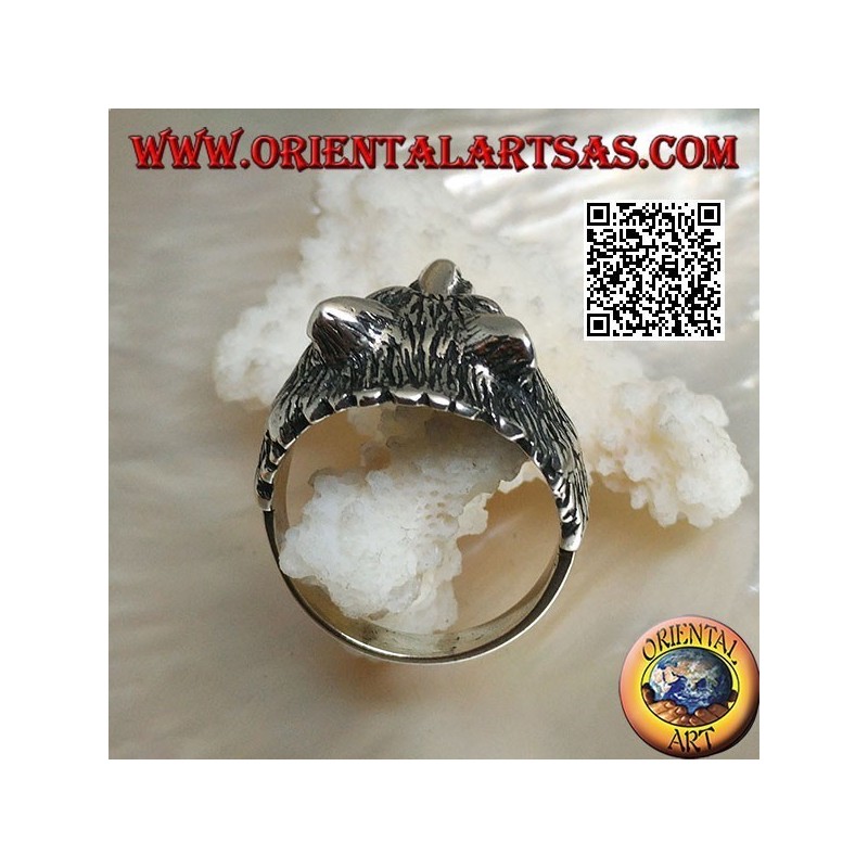 Silver ring, Arctic wolf head or massive snow wolf (medium)