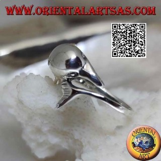 Silberring, Delphin jagt sein Ding (Ouroboros)