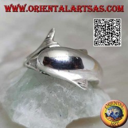 Silberring, Delphin jagt sein Ding (Ouroboros)