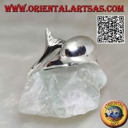 Anillo de plata, delfín persiguiendo lo suyo (Ouroboros)