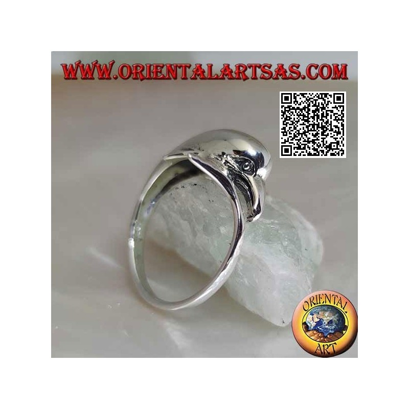 Silver ring, dolphin chasing his thing (Ouroboros)