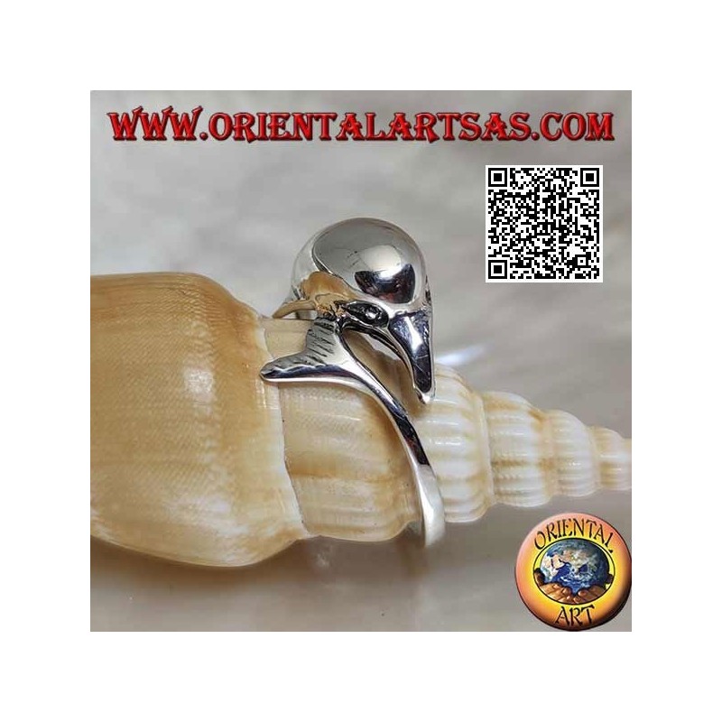 Silver ring, dolphin chasing his thing (Ouroboros)