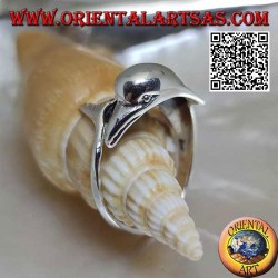 Silberring, Delphin jagt sein Ding (Ouroboros)