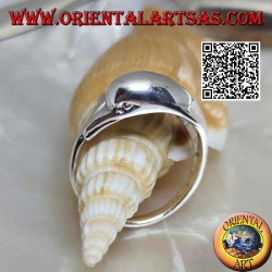 Silberring, Delphin jagt sein Ding (Ouroboros)