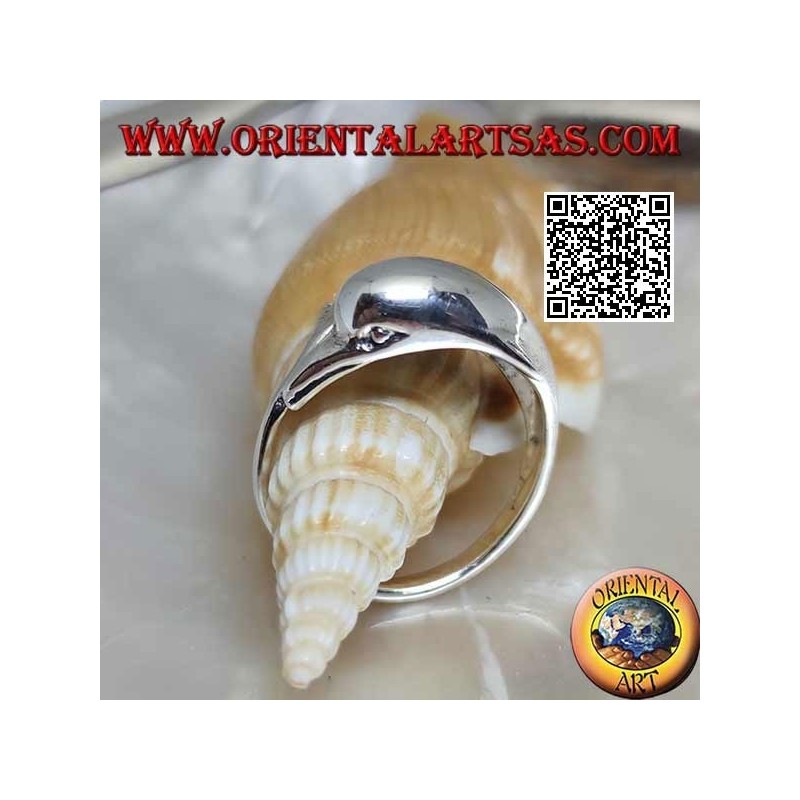 Silver ring, dolphin chasing his thing (Ouroboros)