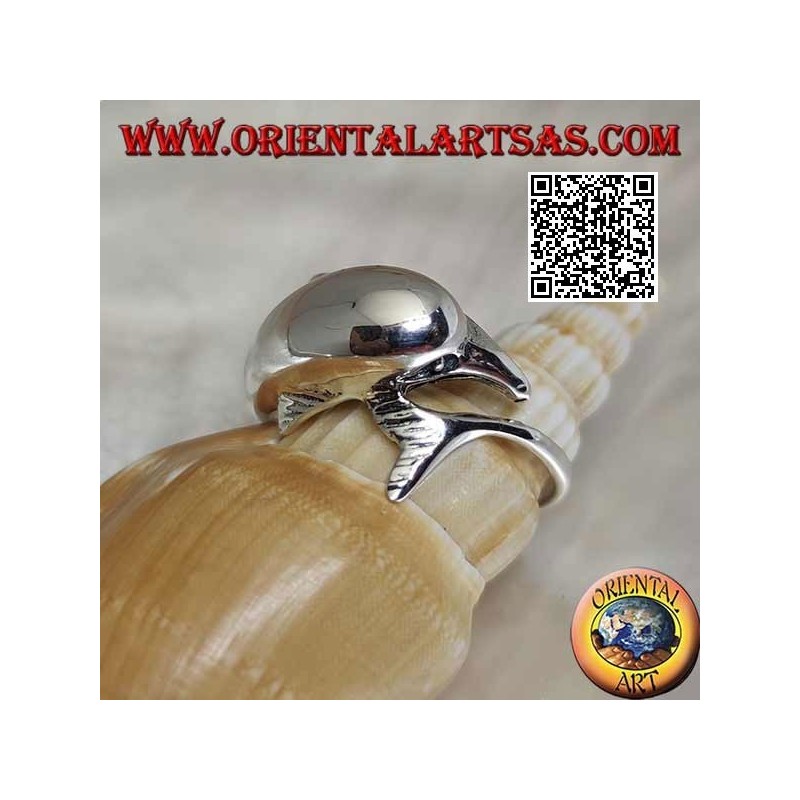 Silver ring, dolphin chasing his thing (Ouroboros)