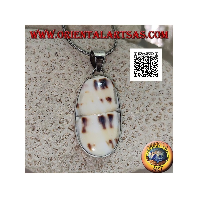 Ciondolo in argento con parte di gasteropode marino fossile (guscio/conchiglia) a filo su montatura liscia 