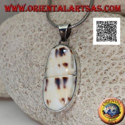 Silver pendant with part of fossil marine gastropod (shell / conch) flush on smooth setting