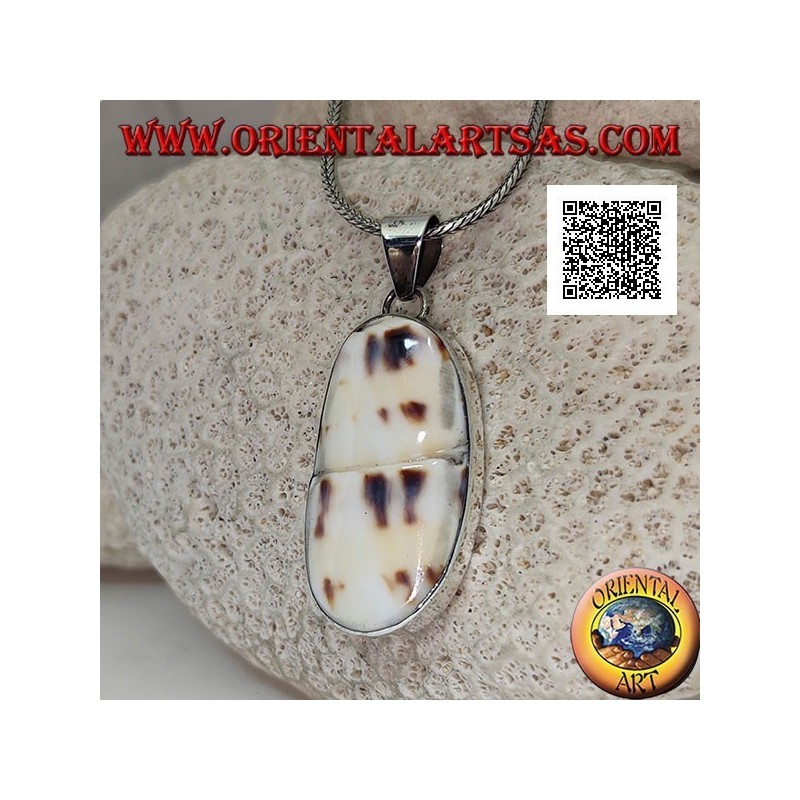 Pendentif en argent avec une partie de gastéropode marin fossile (coquille / conque) affleurant sur un sertissage lisse