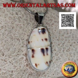 Silver pendant with part of fossil marine gastropod (shell / conch) flush on smooth setting