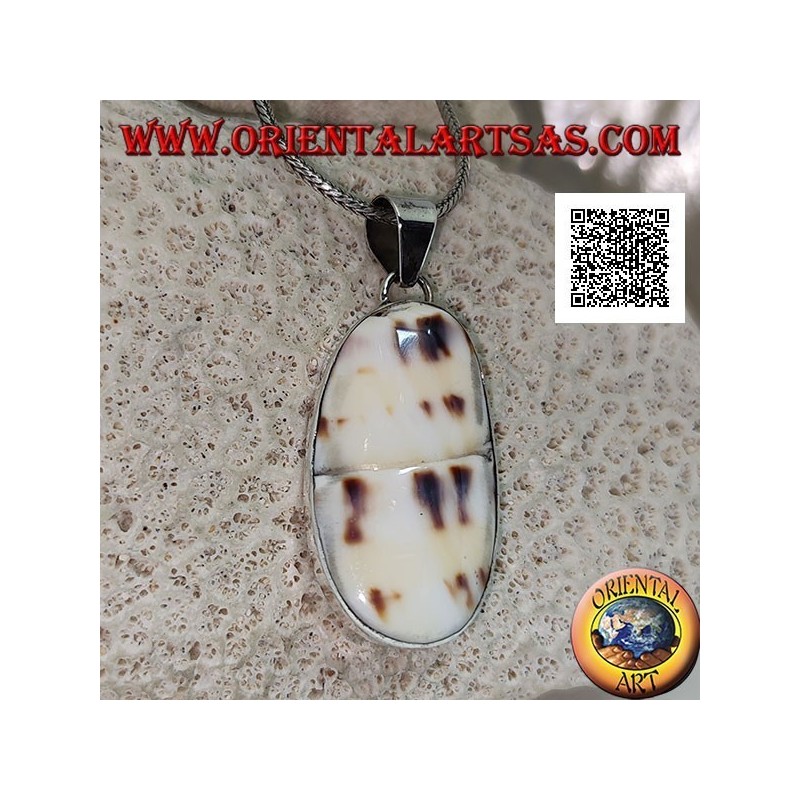 Ciondolo in argento con parte di gasteropode marino fossile (guscio/conchiglia) a filo su montatura liscia