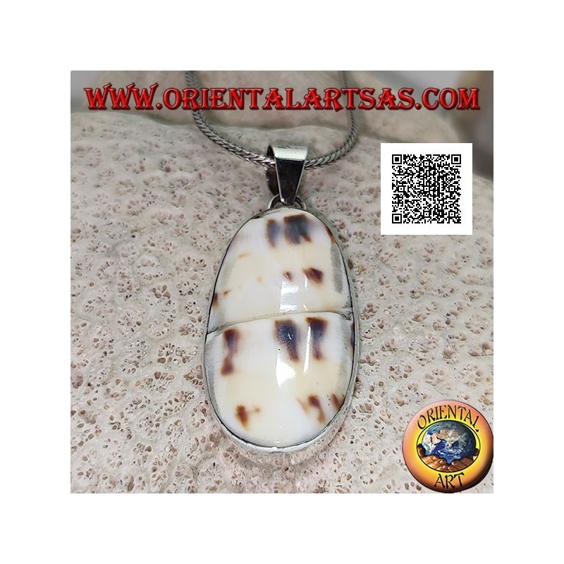 Silver pendant with part of fossil marine gastropod (shell / conch) flush on smooth setting