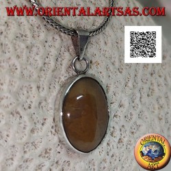 Silver pendant with oval cabochon tiger jasper with smooth frame
