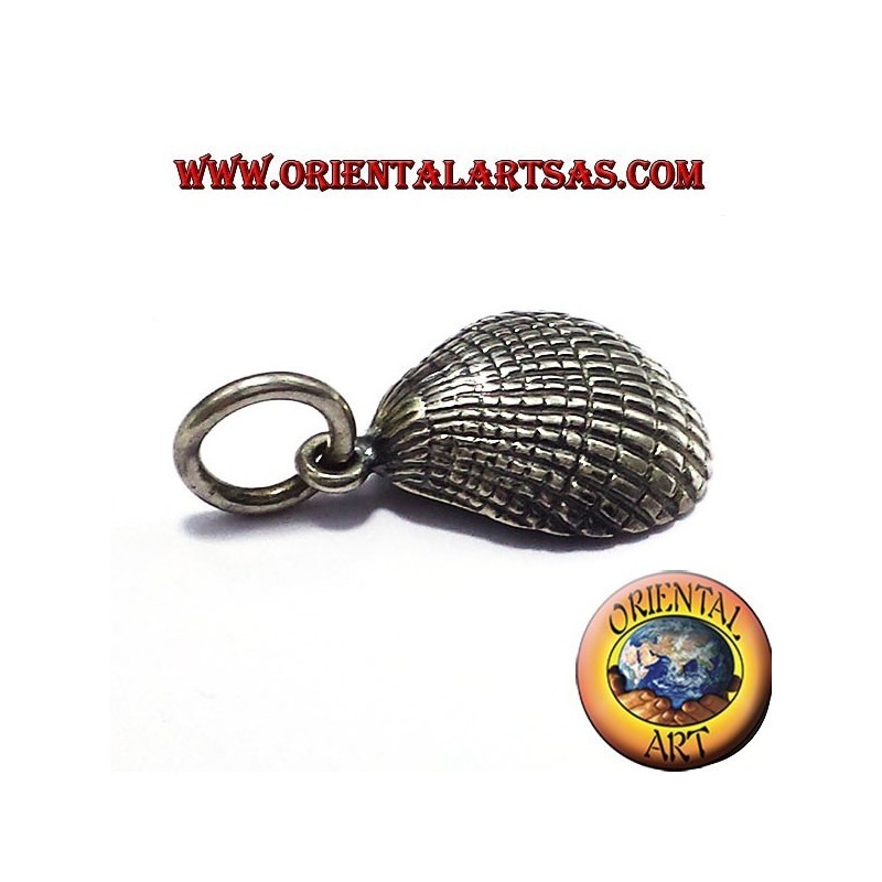 silver pendant shell