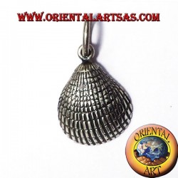 silver pendant shell